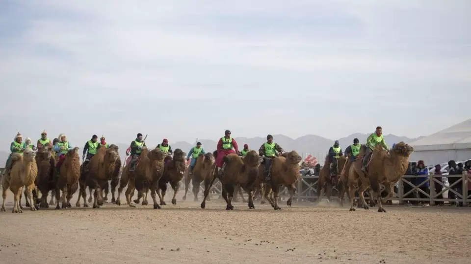 Naadam, also known as the "Three Manly Games" which features horse racing, archery and wrestling, is held in Badain Jaran township, Alxa Right Banner, Alxa league, north China's Inner Mongolia autonomous region, December 28, 2023. (Photo by Jiang Aiping/People's Daily Online)