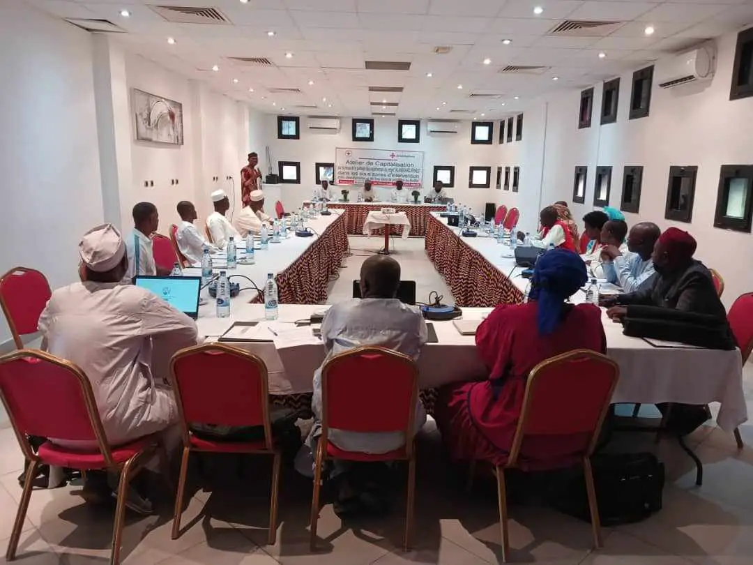 Tchad : atelier de capitalisation des résultats d'évaluation du projet migration de la Croix-Rouge