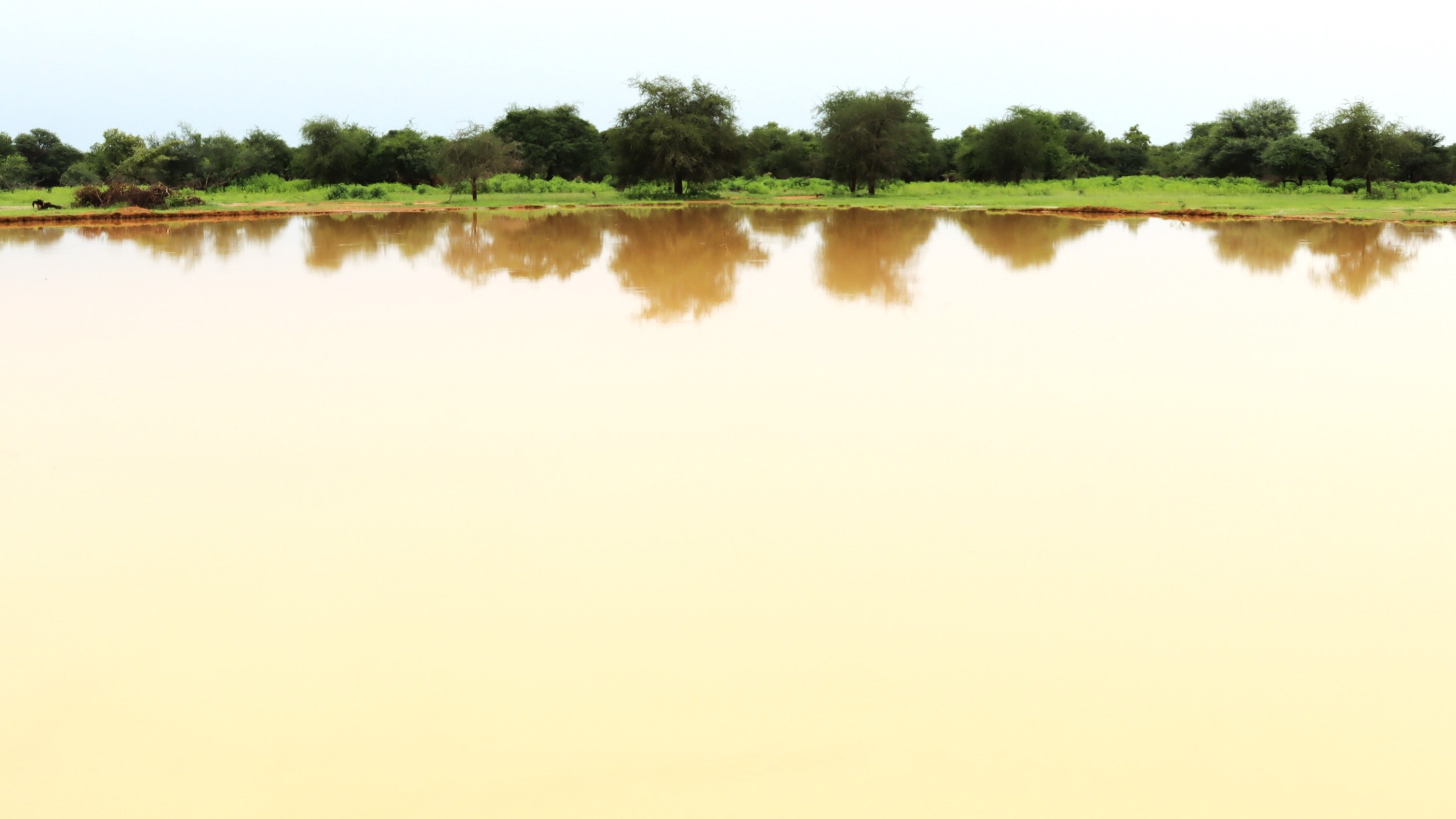 Tchad : Le PAM initie une solution novatrice pour résoudre les conflits agropastoraux