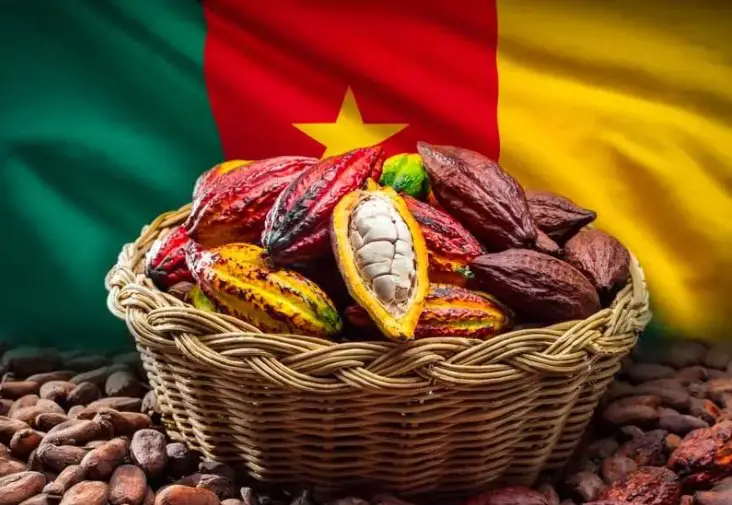 Salon du Chocolat de Vannes : le Cameroun est l'invité d’honneur de la 20ème édition