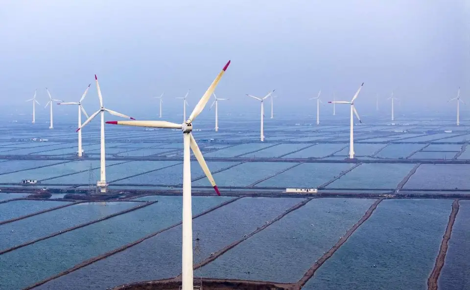 Photo shows wind turbines on a mudflat in Yancheng, east China's Jiangsu province. (Photo by Ji Haixin/People's Daily Online)