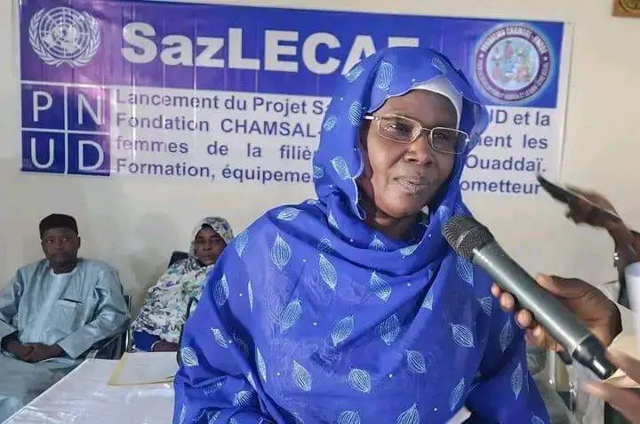 Tchad : à Abéché, la Fondation Chamsal-Houda forme les vendeuses sur la filière viande