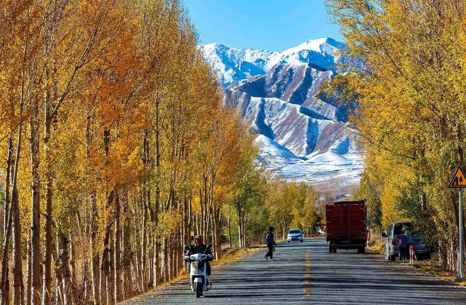 Photo taken on Oct. 22, 2024 shows a rural road in Huazhai village, Huazhai township, Ganzhou district, Zhangye, northwest China's Gansu province. (Photo by Yang Xiao/People's Daily Online)