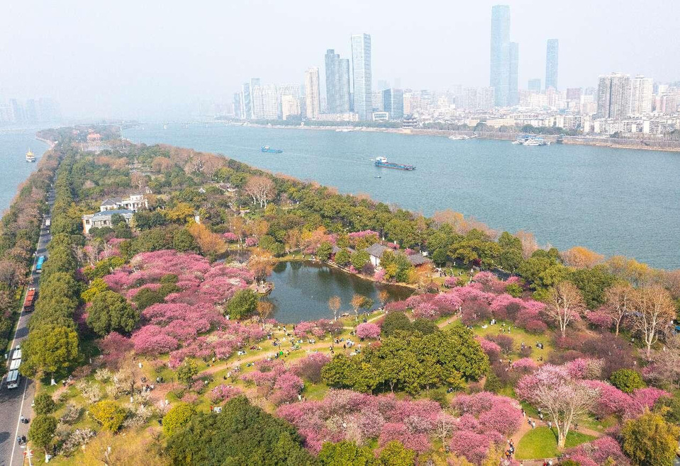 Aerial photo shows a view of Juzizhou Islet in Changsha, central China's Hunan province. (Photo by Fu Cong/People's Daily Online)