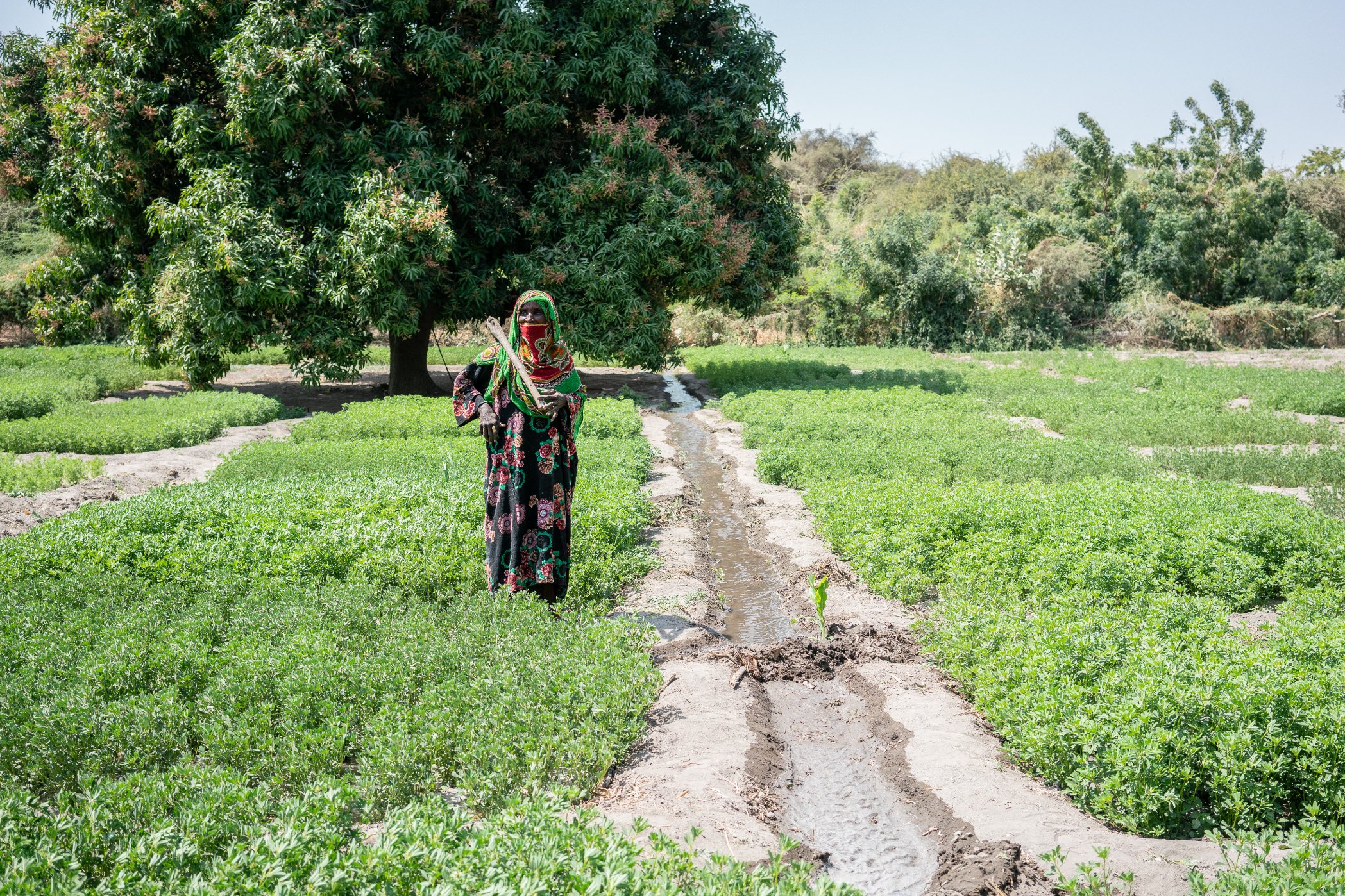 Image : Asma A. WFP Chad