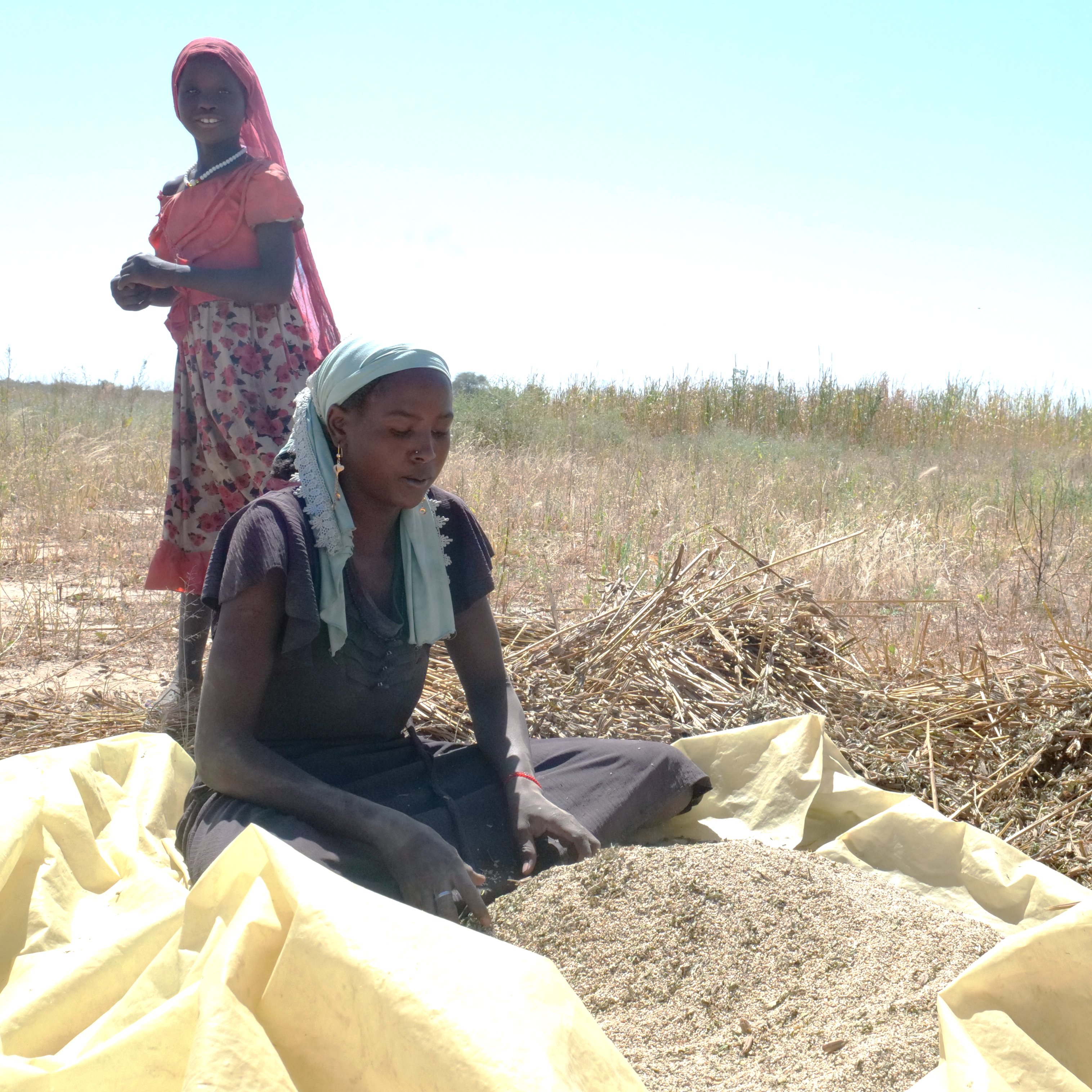 Images : Asma Achahboun - WFP Chad