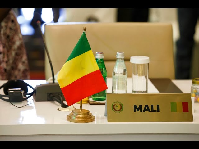 La CEDEAO officialise le retrait du Mali et engage la procédure de séparation