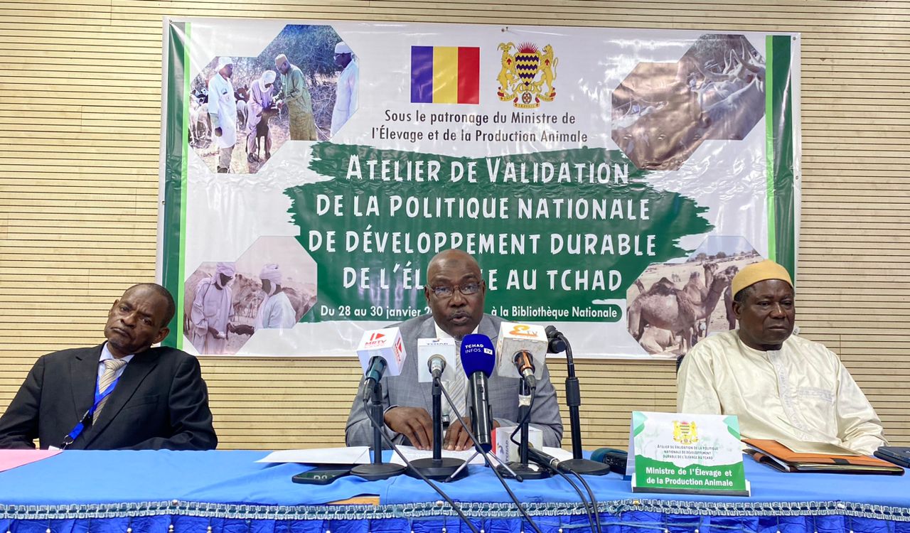 Tchad : une stratégie nationale pour relever les défis et moderniser le secteur de l’élevage