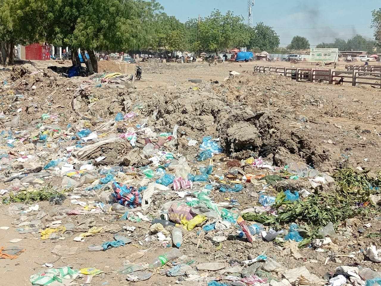 Tchad : à N’Djamena, les travaux d'aménagement du canal des jardiniers aux arrêts