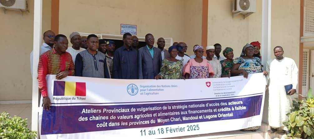 Tchad : au Moyen Chari, un atelier de vulgarisation de la stratégie nationale d'accès aux financements agricoles