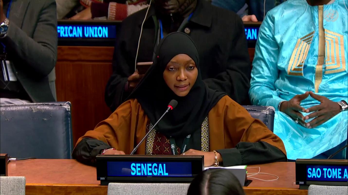 Le délégué du Sénégal donne un avis ferme sur la catégorisation du genre par la commission. Photo : social.desa.un.org/csocd/63rd-session