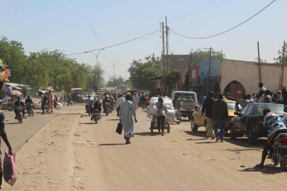 Tchad : à quand les espaces verts dans les communes de Ndjamena ?