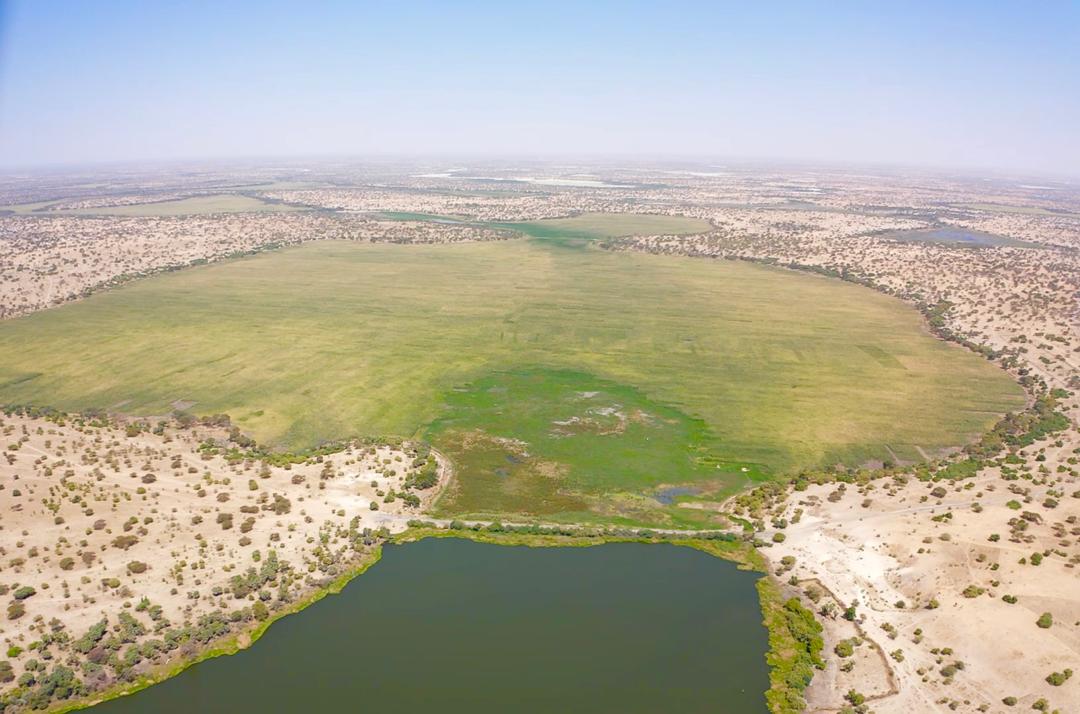 Lac Tchad : Le chef de canton de Bol salue le PAM pour les aménagements agricoles