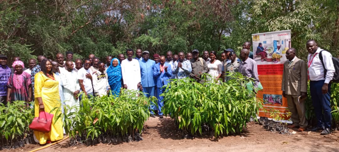 Tchad - Moyen-Chari : Le projet SODEFIKA forme à la technique du greffage de plants de karité