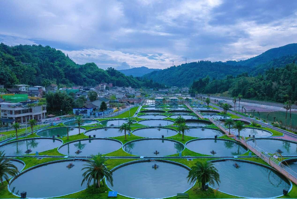 At a cold-water fish farming base in Tuanjie village, Tianquan county, Ya'an, southwest China's Sichuan province, neatly arranged fish ponds stretch in perfect order. It is estimated that 14 grams of every 100 grams of caviar worldwide come from Ya'an. (Photo by Ai Jiaxian/People's Daily Online)