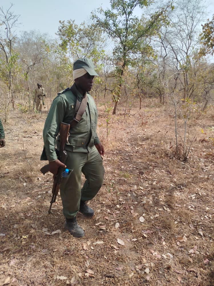 Cameroun - Sécurité renforcée à Garoua : La gendarmerie mène des opérations spéciales contre le terrorisme et la criminalité