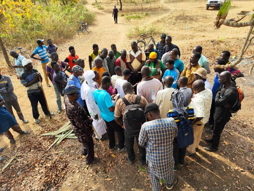 Tchad : dans le Moyen-Chari, formation sur la technique de greffage des plants de karité