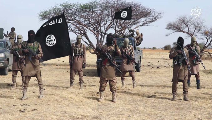 Cameroun : Boko Haram enlève cinq femmes dans le Mayo-Tsanaga, une attaque brutale le jour de la Journée internationale de la femme