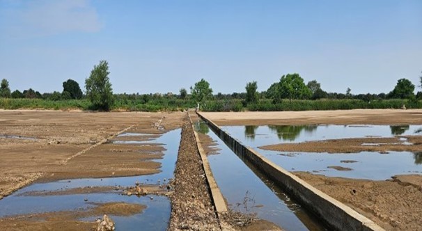 Tchad : L'UE et le HCR améliorent la production agricole grâce aux seuils d'épandage à Farchana