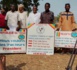 Tchad : l’AJDAP interpelle le président de la République à s’investir dans le secteur agro-pastoral