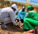 Tchad : à Abéché, l'ADAH contribue à la reforestation lors de la Semaine nationale de l'arbre