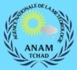 Tchad : Sarh enregistre la hauteur de pluie la plus élevée (ANAM)