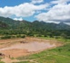 Tchad : La forêt de Tabo et sa mare pastorale, des exemples remarquables de revitalisation écologique