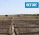 Lac Tchad : Réhabilitation de terres agricoles grâce à l'énergie solaire