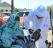 Tchad : vaccination contre la poliomyélite couplée à la supplémentation en vitamine A