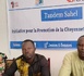 Tchad : Un souffle nouveau pour la jeunesse sahélienne avec le projet "Initiative pour la Promotion de la Citoyenneté Active"