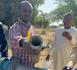 Tchad - Am-Timan : Pénurie d'eau alarmante et problèmes d'infrastructures, le CPAJS tire la sonnette d'alarme