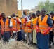 Tchad : La commune du 2ᵉ arrondissement de N'Djamena restaure le samedi de salubrité