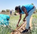 Tchad : L'agriculture maraîchère, une bouée de sauvetage pour les réfugiés et les autochtones de Hadjar Hadid