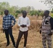 Tchad - Un geste en faveur de la jeunesse : Le chef de canton de Banda octroie 4 hectares de terre