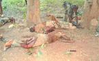 Centrafrique: Un combattant rebelle déchausse un des soldats tués! Image inédite