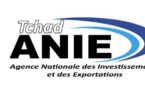 Tchad : Le directeur de l'Agence des Investissements et des exportations remplacé