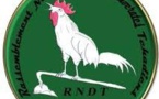 21ème anniversaire du Rassemblement National des Démocrates Tchadiens "RNDT le Réveil"