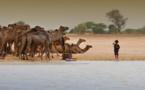 Le Tchad va étendre la zone de protection au parc de Zakouma