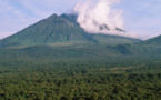 UNESCO condemns killing of six guards in Virunga National Park