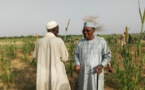 Tchad : en visite dans un village, le président n'a pas été reconnu par les habitants