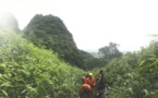 Chinese rescue team lights up hope of young Thai footballers trapped in cave