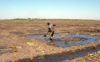 Tchad : un projet de réinsertion économique des groupes vulnérables dans le bassin du Lac