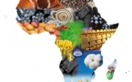 Présentation du rapport « Perspectives économiques en Afrique 2019 » au 32ème Sommet de l’UA