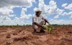 Action climatique en Afrique : la Banque mondiale annonce 22,5 Mds $ de financements