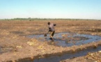 Tchad : vers l'élaboration d'un manuel d'éducation au changement climatique