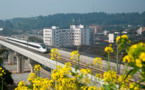 Work on transportation artery Sichuan-Tibet Railway making progress