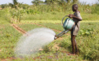 Togo : 73 millions FCFA de la FAO à 3 ONG pour lutter contre la faim et l’insécurité alimentaire