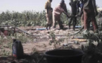 Tchad : 15 forages d'irrigation en faveur des jeunes et femmes au Lac