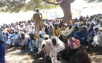 Tchad : distribution de terres à Méléa, dans la province du Lac