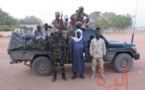 Tchad : opération de la garde forestière au Sila après la destruction d'arbres 